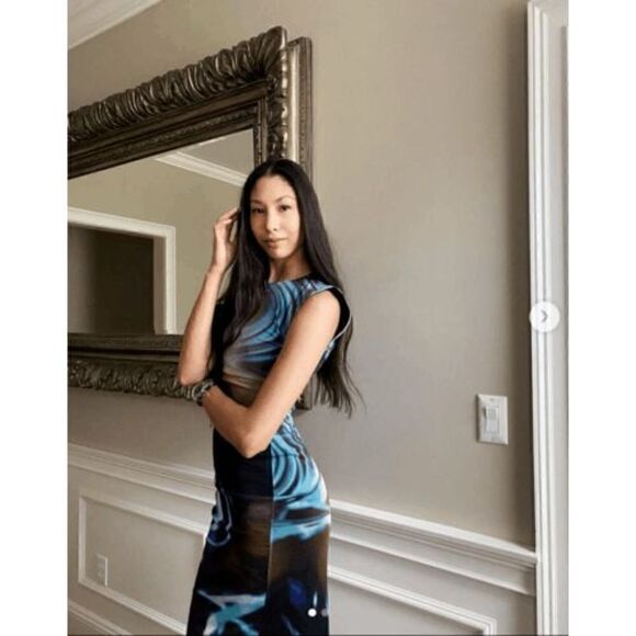 ZARA WOMAN NWT PRINTED TULLE DRESS BLUE BLACK - Picture 12 of 13